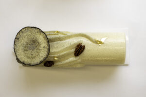 Bûche SIGNATURE <br>Intensément Vanille